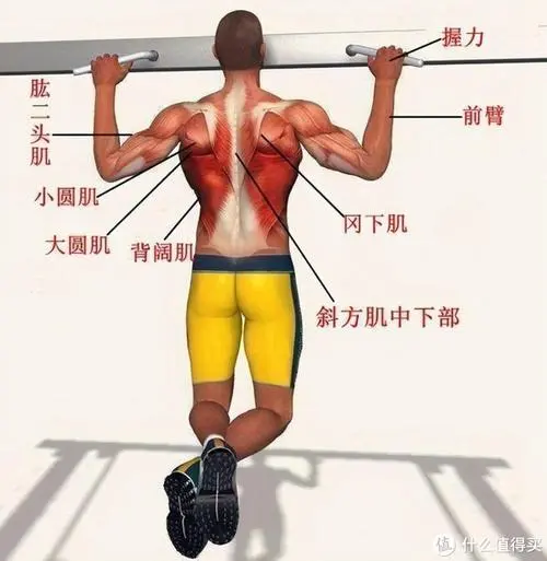 bandao·sports，彩虹朋友乐园游戏3D版